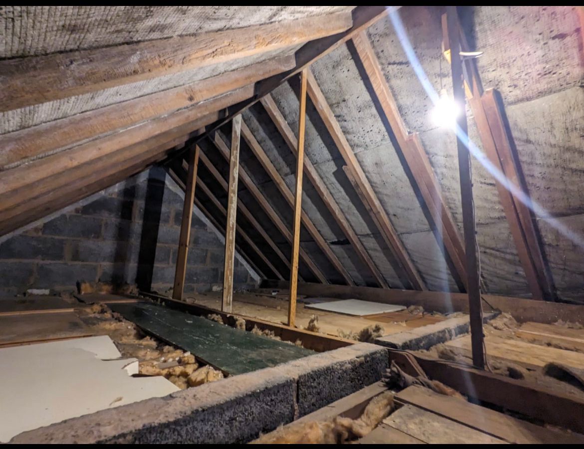 Another Large Attic and Roof Area Cleared – after